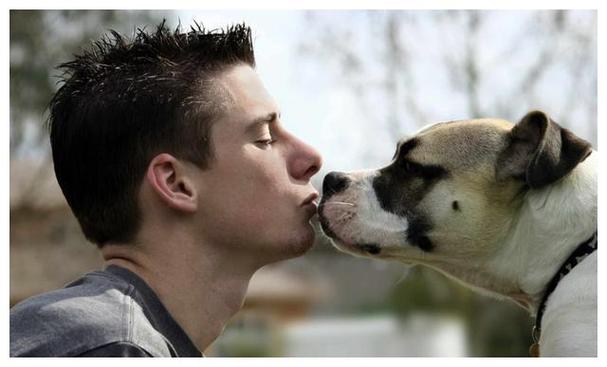 狗狗知道主人亲它吗,狗狗知道主人亲它吗为什么,宠物狗为什么喜欢用舌头舔主人？