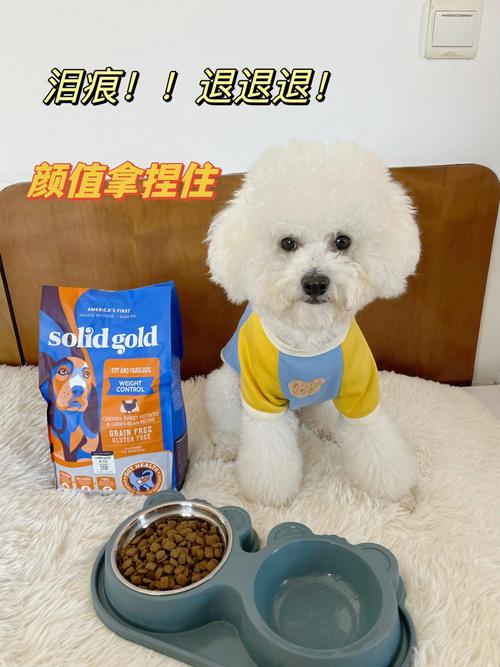 狗狗能吃绿豆粥吗,狗狗能吃绿豆粥吗?比熊,金毛能吃绿豆吗？