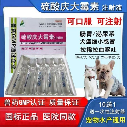 狗狗喝庆大霉素的作用,狗狗喝庆大霉素的作用与功效,庆大霉素注射液可以喂狗吗？