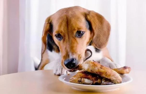 狗狗吃咸了的症状,狗狗吃咸了的症状照片,狗狗吃了太咸的东西有什么后果？
