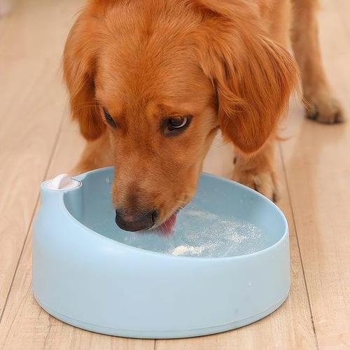 狗狗得细小能喝水吗,狗狗得细小能喝水吗狗狗的现象能喝水,得了细小的狗狗正在恢复期间，很想喝水，能给点喝吗？