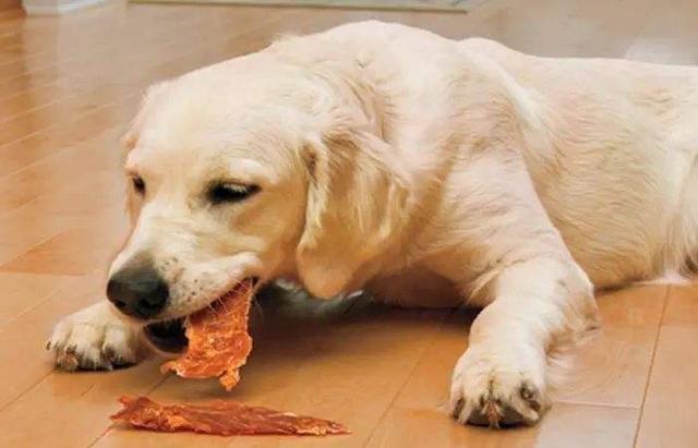狗狗可以吃鸡腿肉吗,狗狗可以吃鸡腿肉吗?,冻过的鸡腿肉煮熟了能给狗狗吃吗？