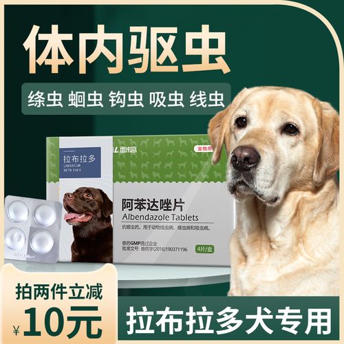 狗狗吃人的打虫药行吗,狗狗吃人的打虫药可以吗,狗狗可以吃人吃的驱虫药吗？