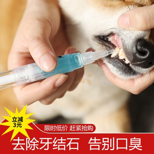 狗狗洗牙的好处与坏处,狗狗去除牙结石小妙招,怎么给狗狗洗牙？