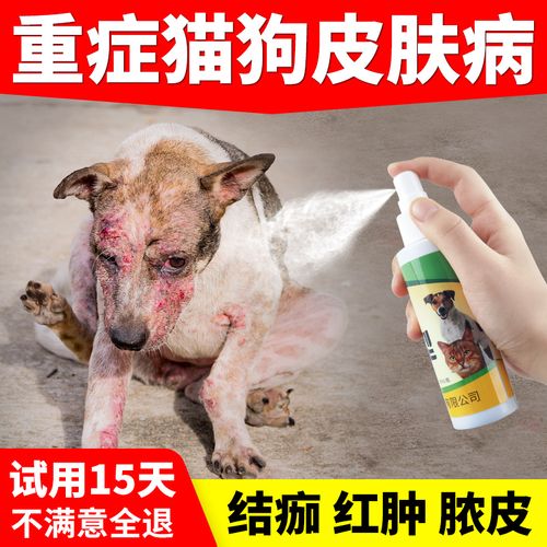 狗狗有皮肤病会传染给人吗,红霉素软膏治狗狗真菌感染,狗狗身上的虱子会传染给人吗？要如何预防？
