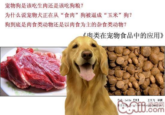 狗狗吃羊肉好还是牛肉好,狗狗吃羊肉好还是牛肉好呢,狗吃羊肉有什么好处？