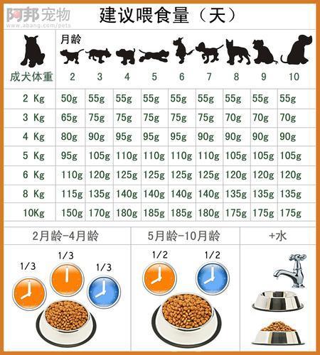 狗粮喂多少合适,狗狗体重与食量对照表,狗狗平时的饭量要多少才合适？