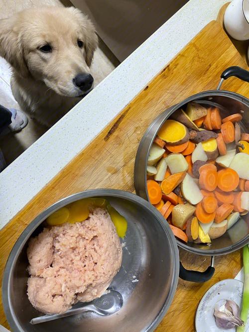 自己做狗粮,自己做狗粮的简单方法,自己做狗粮,用玉米面做狗粮怎么做？