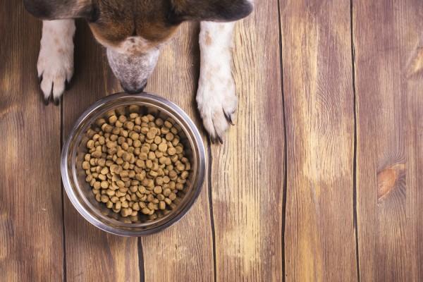 猫粮和狗粮的区别,猫粮和狗粮的区别在哪里,为什么狗能吃猫粮猫不能吃狗粮？