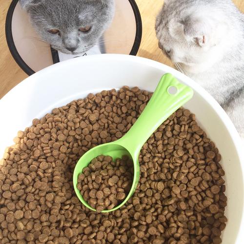 猫粮比狗粮贵,为什么猫粮比狗粮贵,猫粮能当狗粮吃吗？