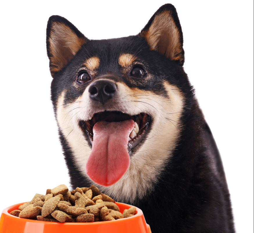 小狗几个月能吃干狗粮,几个月小狗不用泡狗粮,狗狗多大可以干吃狗粮？