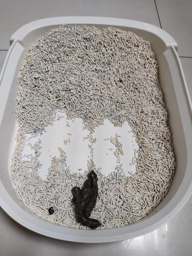 猫为什么在猫砂里拉屎,猫为什么在猫砂里拉屎,在外面尿,有猫砂盆为什么猫咪会故意拉床上？