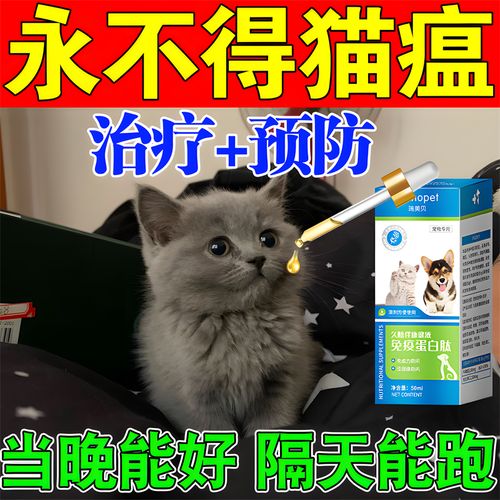 猫咪发烧吃什么药,猫咪发烧吃什么药退烧,猫咪退烧的正确方法？