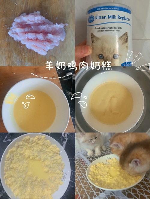 猫咪辅食怎么做,猫咪辅食怎么做有营养,一个月小猫怎么添加辅食？