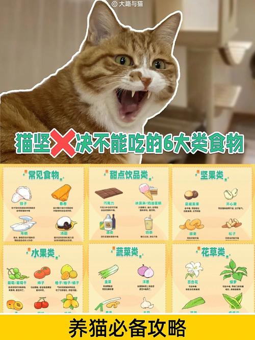 猫咪什么东西不能吃,猫咪什么东西不能吃什么,猫可以吃姜煮过的东西吗?