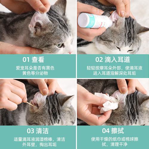 猫咪滴耳液怎么用,猫咪滴耳液怎么用视频,猫咪滴耳液的正确使用方法？