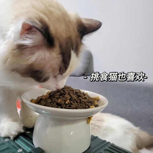 给猫咪吃什么补充营养,什么猫粮增肥效果好,猫一般吃什么？
