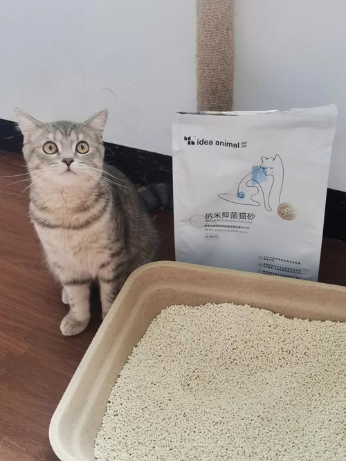 猫咪用什么猫砂比较好,猫咪用什么猫砂比较好一点,电动猫砂盆适合什么猫砂？