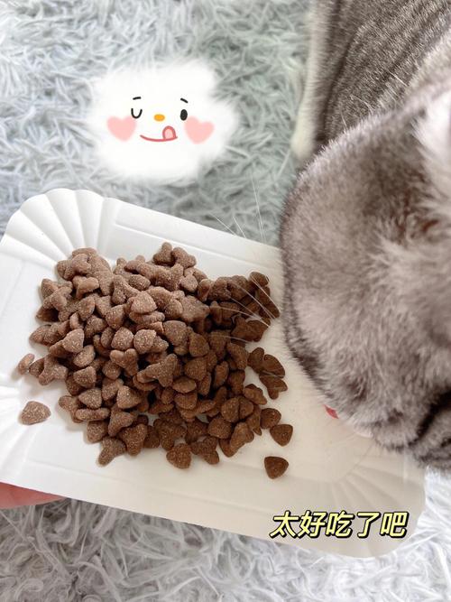 如何制作猫粮,在家如何制作猫粮,如何自制猫粮？