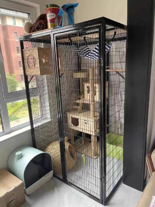 养猫的笼子,养猫的笼子放在哪里好,猫笼子推荐便宜又实用？
