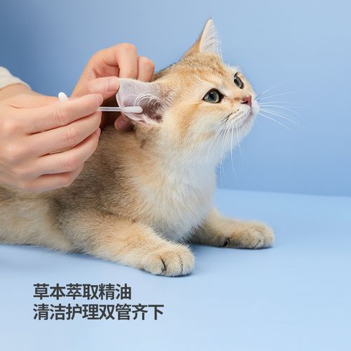 猫咪清理耳朵,猫咪清理耳朵用什么药,怎么给猫清理耳朵？