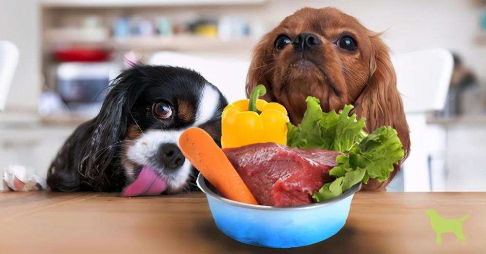 狗狗喜欢吃什么,狗狗喜欢吃什么蔬菜,小狗吃什么东西？