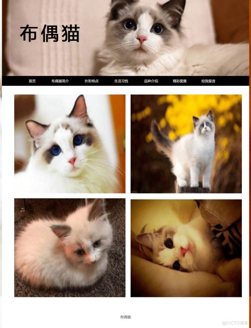 猫咪官网社区,猫咪官网社区入口免费,宠物买卖网站哪个好？