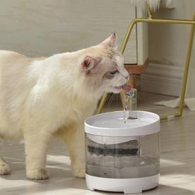 猫咪自动饮水机,猫咪自动饮水机多久换一次水,猫咪自动饮水机怎么装？