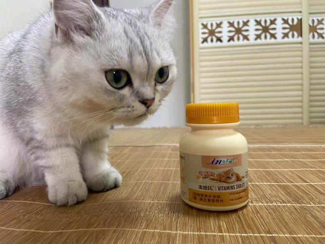 猫咪补充维生素,猫咪补充维生素吃什么,猫咪需要补充什么维生素？