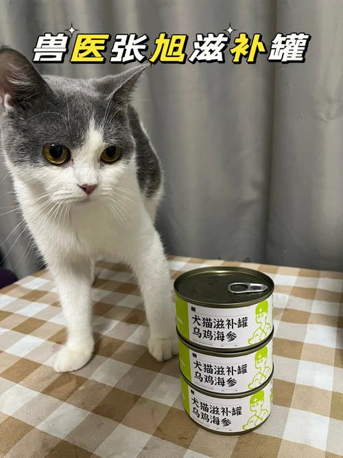 小猫拉稀吃什么药,小猫拉稀吃什么药最好,猫猫拉肚子除了给它吃土霉素还可以吃黄连素吗？