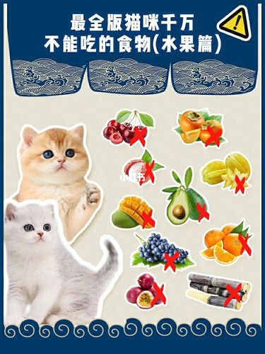猫可以吃什么水果,猫可以吃什么水果蔬菜,猫咪可以吃的水果？