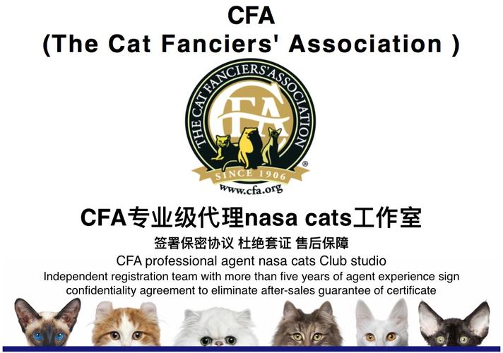 cfa猫咪,cfa猫咪协会,cfa品种猫鉴定标准？