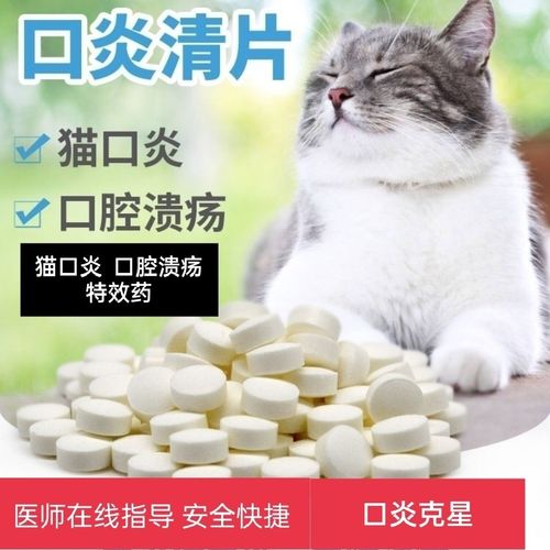 猫咪口腔炎,猫咪口腔炎用什么药比较管用,如何防治猫口炎？