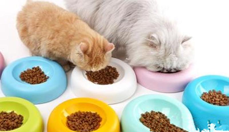 猫咪换粮呕吐,猫咪换粮呕吐怎么办,换猫粮后猫咪就拉肚子怎么办？