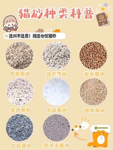 猫砂用什么代替,没有猫砂用什么代替,什么可以替代猫砂？