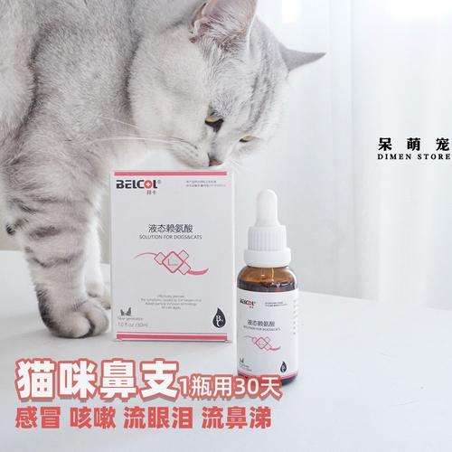 猫流鼻涕吃什么药,猫流鼻涕吃什么药最管用,猫为什么会流鼻涕水？