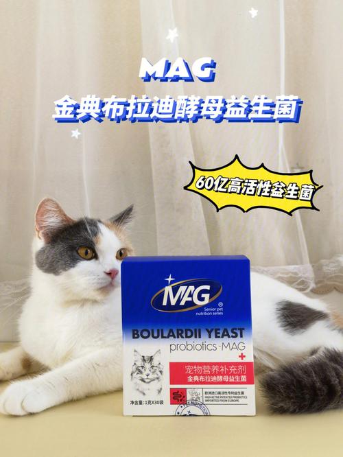 猫咪益生菌推荐,猫咪益生菌推荐什么牌子,益生菌猫咪一天喝几包？