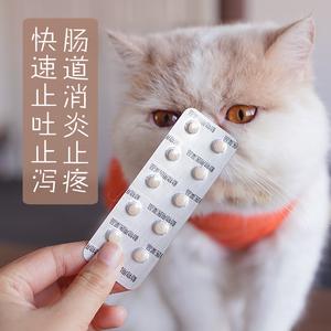 猫咪止吐药,猫咪止吐药吃什么,猫咪呕吐应该吃什么药？