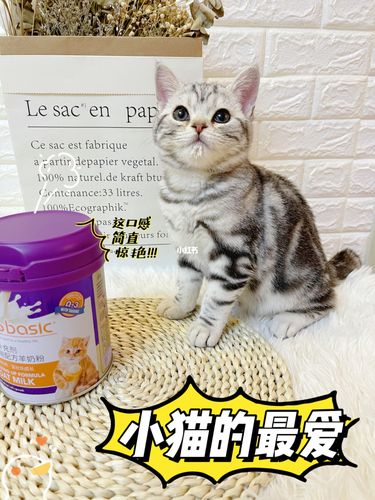 幼猫喝什么奶粉,幼猫喝什么奶粉比较好,新生猫咪可以喝什么奶？