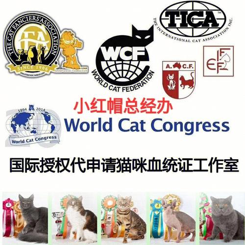 www猫咪,,wcf猫协会官网？