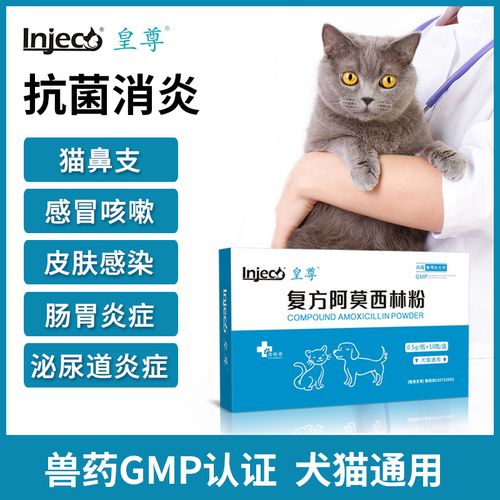 猫咪结肠炎,猫咪结肠炎便血治疗最佳方法,阿莫西林治猫咪肠胃炎吗？