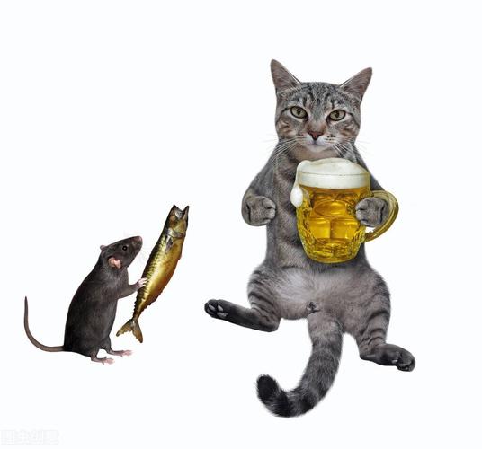 为什么猫爱吃鱼,为什么猫爱吃鱼和老鼠,猫爱吃鱼吗？