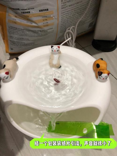 自制猫咪饮水机,自制猫咪饮水机制作教程,猫饮水机内部怎么清洗最彻底？