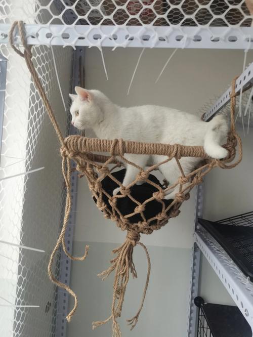 自制猫咪吊床,自制猫咪吊床制作方法,猫笼怎么做？
