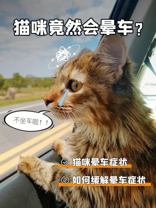 猫咪晕车吗,,猫咪坐车会晕车吗？