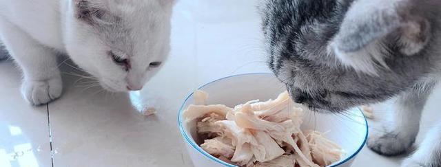 给猫咪煮鸡胸肉,给猫咪煮鸡胸肉怎么煮,猫咪的鸡胸肉和猪肝怎么做？