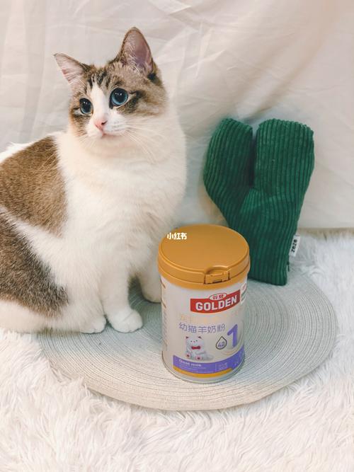 猫咪能喝羊奶粉吗,成年猫咪能喝羊奶粉吗,小奶猫可以喝羊奶吗？