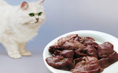 猫咪可以吃猪肝,猫咪可以吃猪肝吗 煮熟的,猪肝可以喂猫吗？