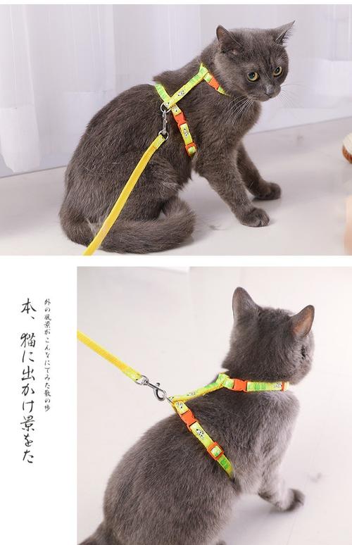 自制猫咪牵引绳,一根绳子怎样自制猫咪牵引绳,猫咪牵引绳编织？