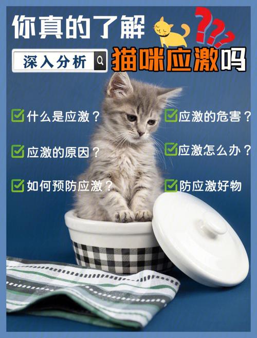 猫咪排尿困难,猫咪排尿困难怎么帮助排尿,猫咪排尿困难怎么办？